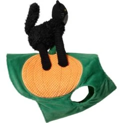 Frisco Pumpkin Cat Ride-On Dog & Cat Costume -WoofyPlay Store 709294 PT4. AC SS1800 V1689270836