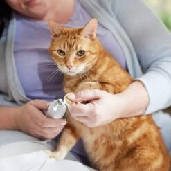 Rechargeable Cordless Cat & Dog 3-Speed Nail Grinder, White -WoofyPlay Store 729774 PT5. AC SS1800 V1683147135