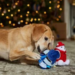 Frisco Holiday Arctic Buddies 2-in-1 Rip For Surprise Plush & Rubber Dog Toy 9 Frisco Holiday Arctic Buddies 2-in-1 Rip For Surprise Plush & Rubber Dog Toy -WoofyPlay Store 739718 PT3. AC SS1800 V1694812848