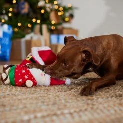 Frisco Holiday Santa On Vacation 2-in-1 Plush Squeaky Dog Toy -WoofyPlay Store 739894 PT3. AC SS1800 V1695045718