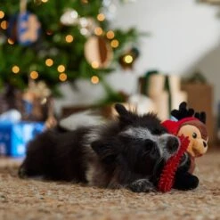 Frisco Holiday Reindeer Plush With TPR Ring Squeaky Puppy Toy -WoofyPlay Store 739958 PT3. AC SS1800 V1695046549