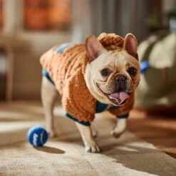 Frisco Wubby Textured Fleece Dog & Cat Hoodie W/ Pocket -WoofyPlay Store 742510 PT7. AC SS1800 V1692377765