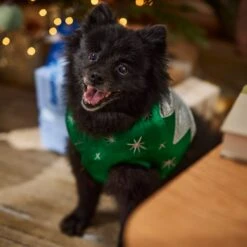 Frisco Ornament Dog & Cat Costume 14 Frisco Ornament Dog & Cat Costume -WoofyPlay Store 745510 PT7. AC SS1800 V1694795535