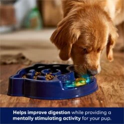 Frisco Interactive Dog Slow Feeder Bowl -WoofyPlay Store 761238 PT2. AC SS1800 V1696254583