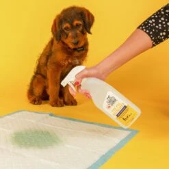 Skout's Honor Dog Pee Pad Refresher Spray, 28-oz Bottle & Frisco Washable Dog Potty Pads -WoofyPlay Store 772958 PT4. AC SS1800 V1676749044