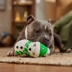 Frisco Holiday Snowman Latex Squeaky Dog Toy 7 Frisco Holiday Snowman Latex Squeaky Dog Toy -WoofyPlay Store 773870 PT3. AC SS1800 V1695044328