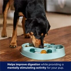 Frisco Interactive Dog & Cat Slow Feeder Bowl -WoofyPlay Store 807414 PT2. AC SS1800 V1696254614