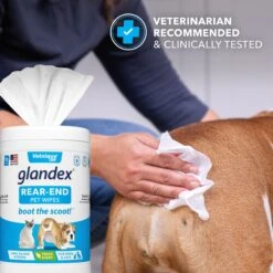 Vetnique Labs Glandex Wipes Rear End Anal Gland Cleansing & Deodorizing Hygienic Rear End Boot The Scoot Dog & Cat Wipes & Frisco Disposable Male Dog Wraps 13 Vetnique Labs Glandex Wipes Rear End Anal Gland Cleansing & Deodorizing Hygienic Rear End Boot The Scoot Dog & Cat Wipes & Frisco Disposable Male Dog Wraps -WoofyPlay Store 826454 PT4. AC SS1800 V1682018155