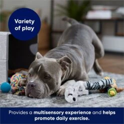 Frisco Forest Friends Plush, Rope & TPR Variety Pack Dog Toy -WoofyPlay Store 843534 PT3. AC SS1800 V1693411070