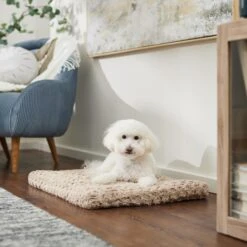 Frisco Double Door Furniture Style Dog Crate, Black & Frisco Swirl Dog Crate Mat -WoofyPlay Store 947710 PT5. AC SS1800 V1693921603