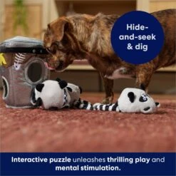 Frisco Volcano Hide & Seek Puzzle Plush Squeaky Dog Toy & Frisco Trash Can & Raccoons Hide & Seek Puzzle Plush Squeaky Dog Toy -WoofyPlay Store 962054 PT8. AC SS1800 V1694783037