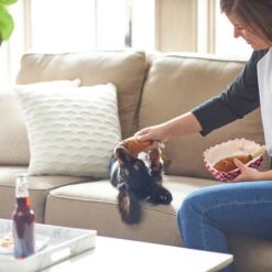 Frisco Corndog Interactive Plush Squeaky Dog Toy & Frisco Guacamole Hide & Seek Puzzle Plush Squeaky Dog Toy -WoofyPlay Store 962086 PT3. AC SS1800 V1694782979