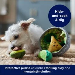 Frisco Corndog Interactive Plush Squeaky Dog Toy & Frisco Guacamole Hide & Seek Puzzle Plush Squeaky Dog Toy -WoofyPlay Store 962086 PT8. AC SS1800 V1694782977