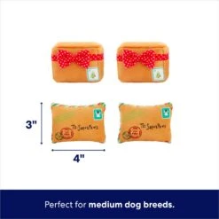 Frisco Holiday Hot Cocoa Hide & Seek Puzzle Plush Squeaky Dog Toy & Frisco Holiday North Pole Mailbox Hide & Seek Puzzle Plush Squeaky Dog Toy -WoofyPlay Store 986166 PT7. AC SS1800 V1698258463