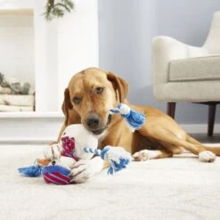 Frisco Holiday Snowman Plush With Rope Squeaky Dog Toy & Frisco Holiday Reindeer Plush With Rope Squeaky Dog Toy -WoofyPlay Store 986174 PT4. AC SS1800 V1698258345