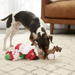 Frisco Holiday Santa's Helpers Plush Squeaky Dog Toy, 3 Count & Frisco Holiday Lights Plush With Rope Squeaky Dog Toy -WoofyPlay Store 986206 PT4. AC SS1800 V1698257788