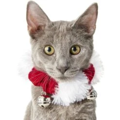 Frisco Holiday Dog & Cat Santa Hat, 1 Count & Frisco Jingle Bells Dog & Cat Holiday Collar With Bells, 1 Count -WoofyPlay Store 986254 PT6. AC SS1800 V1698258115