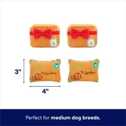 Frisco Holiday House Hide & Seek Puzzle Plush Squeaky Dog Toy & Frisco Holiday North Pole Mailbox Hide & Seek Puzzle Plush Squeaky Dog Toy -WoofyPlay Store 986286 PT7. AC SS1800 V1698258056