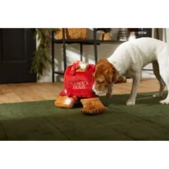 Frisco Holiday House Hide & Seek Puzzle Plush Squeaky Dog Toy & Frisco Holiday North Pole Mailbox Hide & Seek Puzzle Plush Squeaky Dog Toy -WoofyPlay Store 986286 PT8. AC SS1800 V1698258055