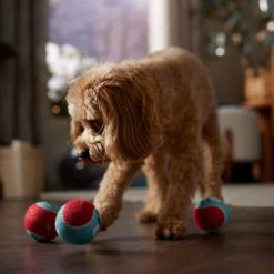 Frisco Holiday Ho Ho Ho Fetch Squeaky Tennis Ball Dog Toy & Frisco Holiday Arctic Friends Stuffing-Free Skinny Plush Squeaky Dog Toy -WoofyPlay Store 986310 PT4. AC SS1800 V1698257790