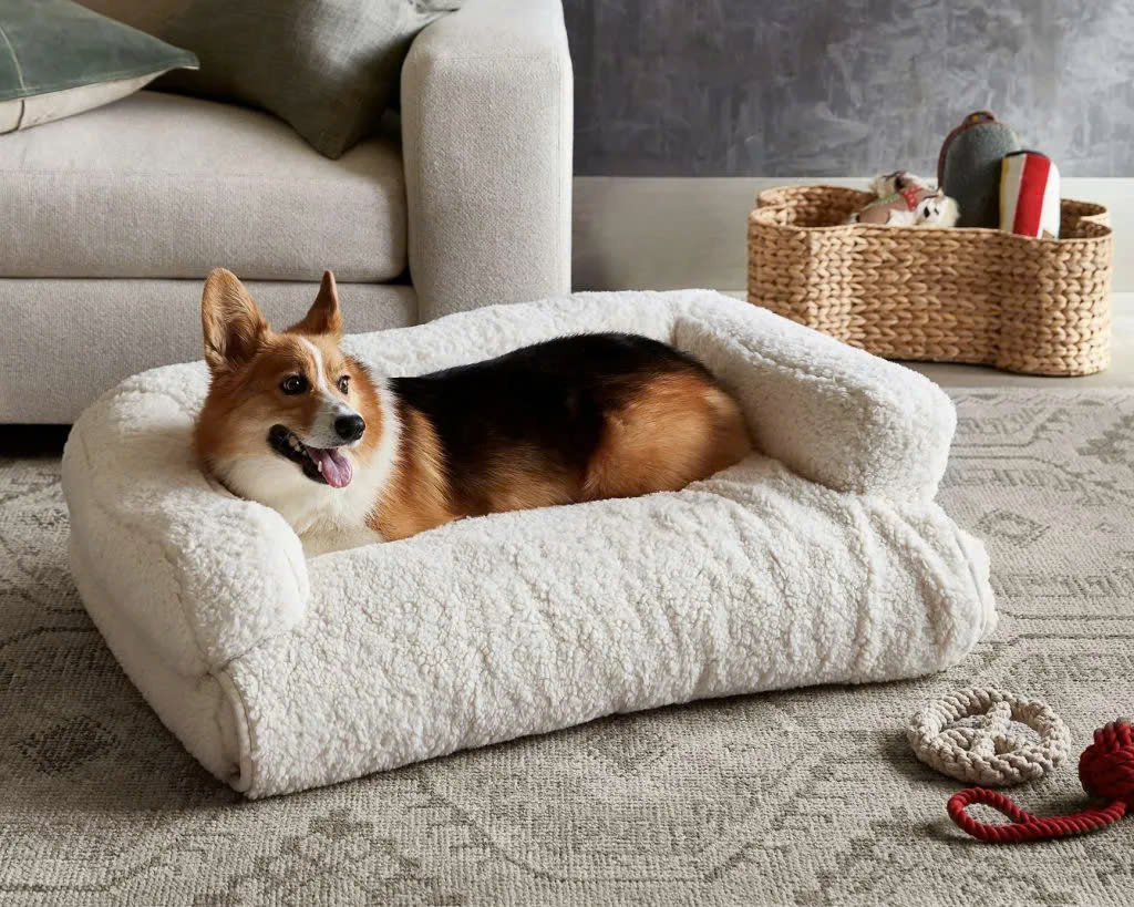 WoofyPlay Store -WoofyPlay Store z6570321427842 4b4ef7f2ade02f4e35fd8ca68925cafc